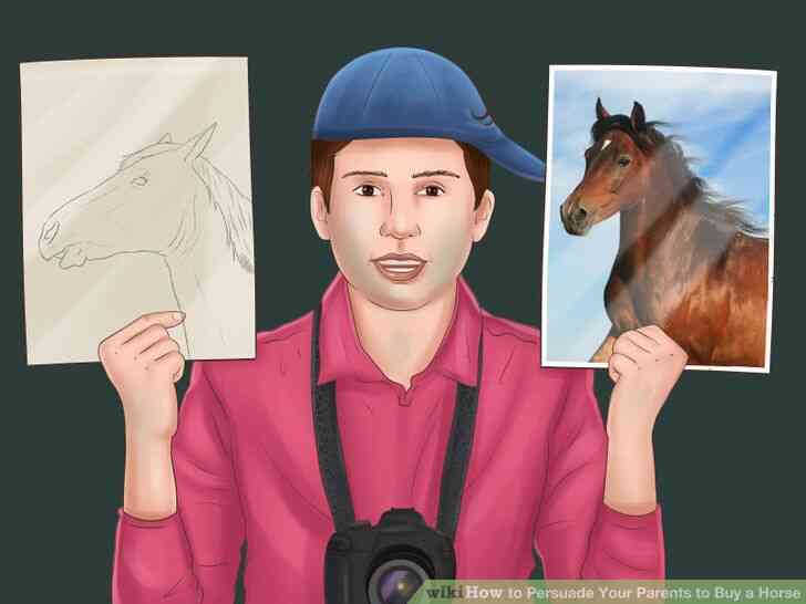 Image intitulée Convaincre Tes Parents d